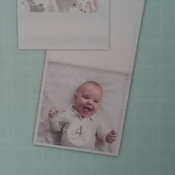 Baby's First Year Milestone Sticker Set - Picture 4 of 5